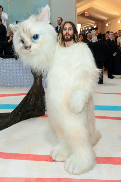 50 самых ярких нарядов в истории Met Gala: то самое «мокрое» платье Ким Кардашьян, Золушка-Зендея и Доджа Шупетт-Кэт