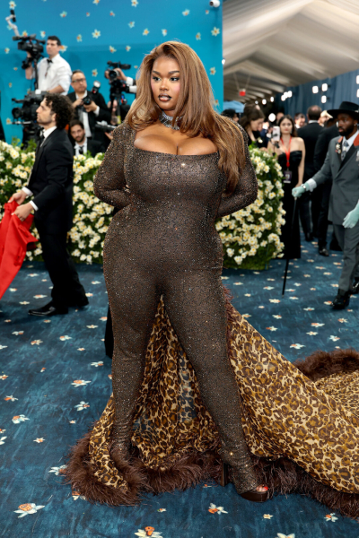 Выбрали 30 самых смешных образов с голубой дорожки Met Gala 2025