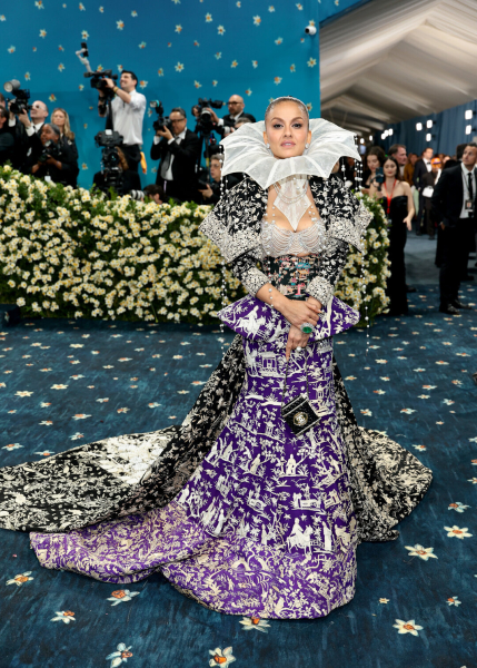 Выбрали 30 самых смешных образов с голубой дорожки Met Gala 2025